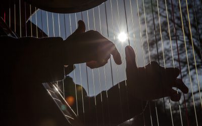 WMC to Support Welsh Music Day!