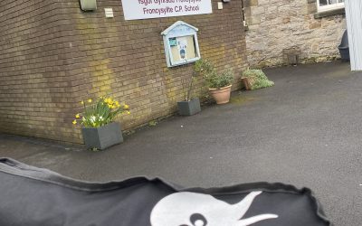 First Experiences – Froncysyllte C.P School