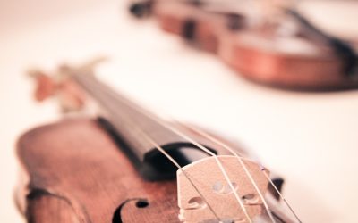 Music Lesson Bookings 2024/2025